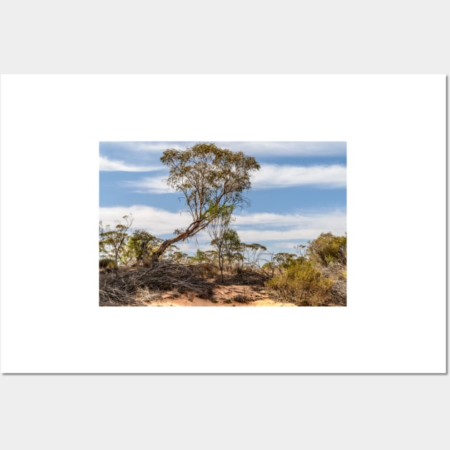 Murray Sunset National Park 05 Wall Art by fotoWerner